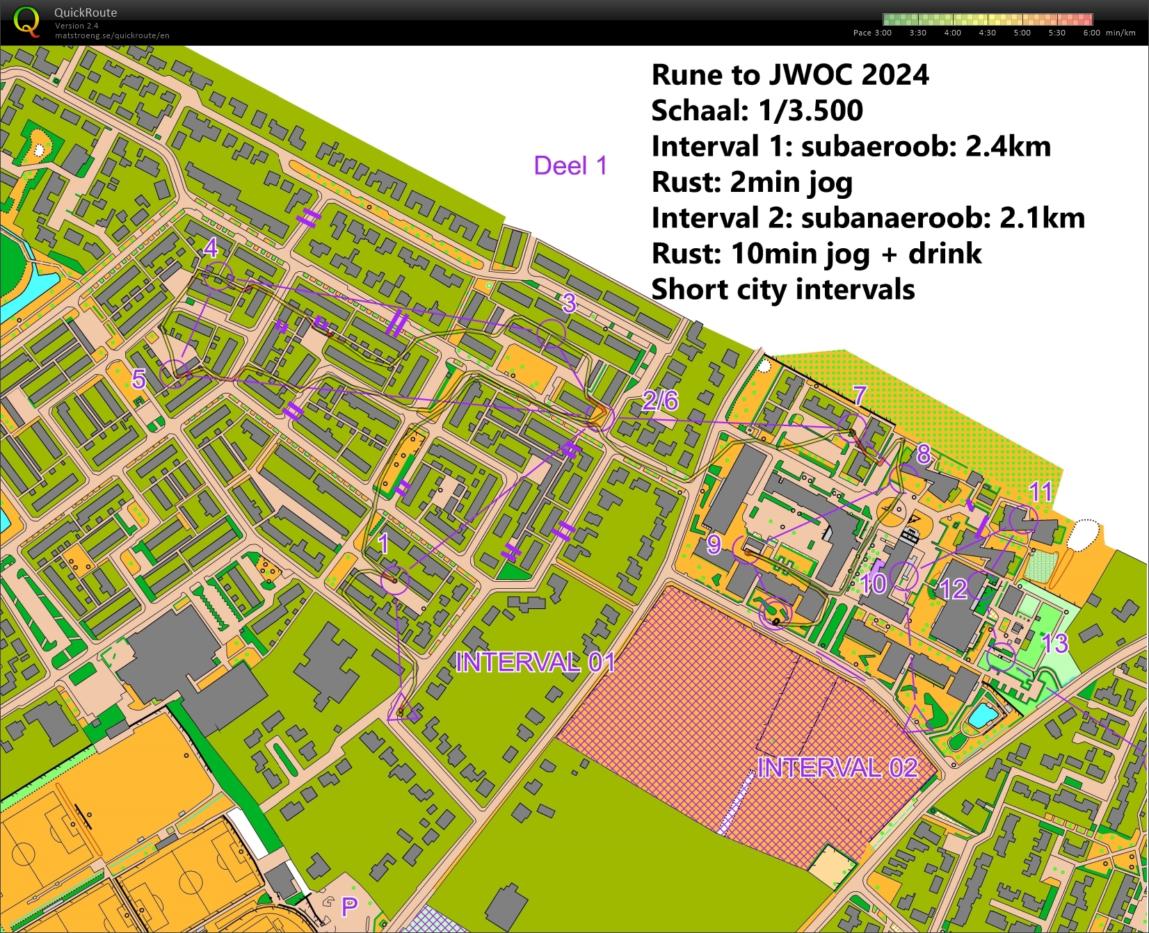 Sprinttraining (20/06/2024)