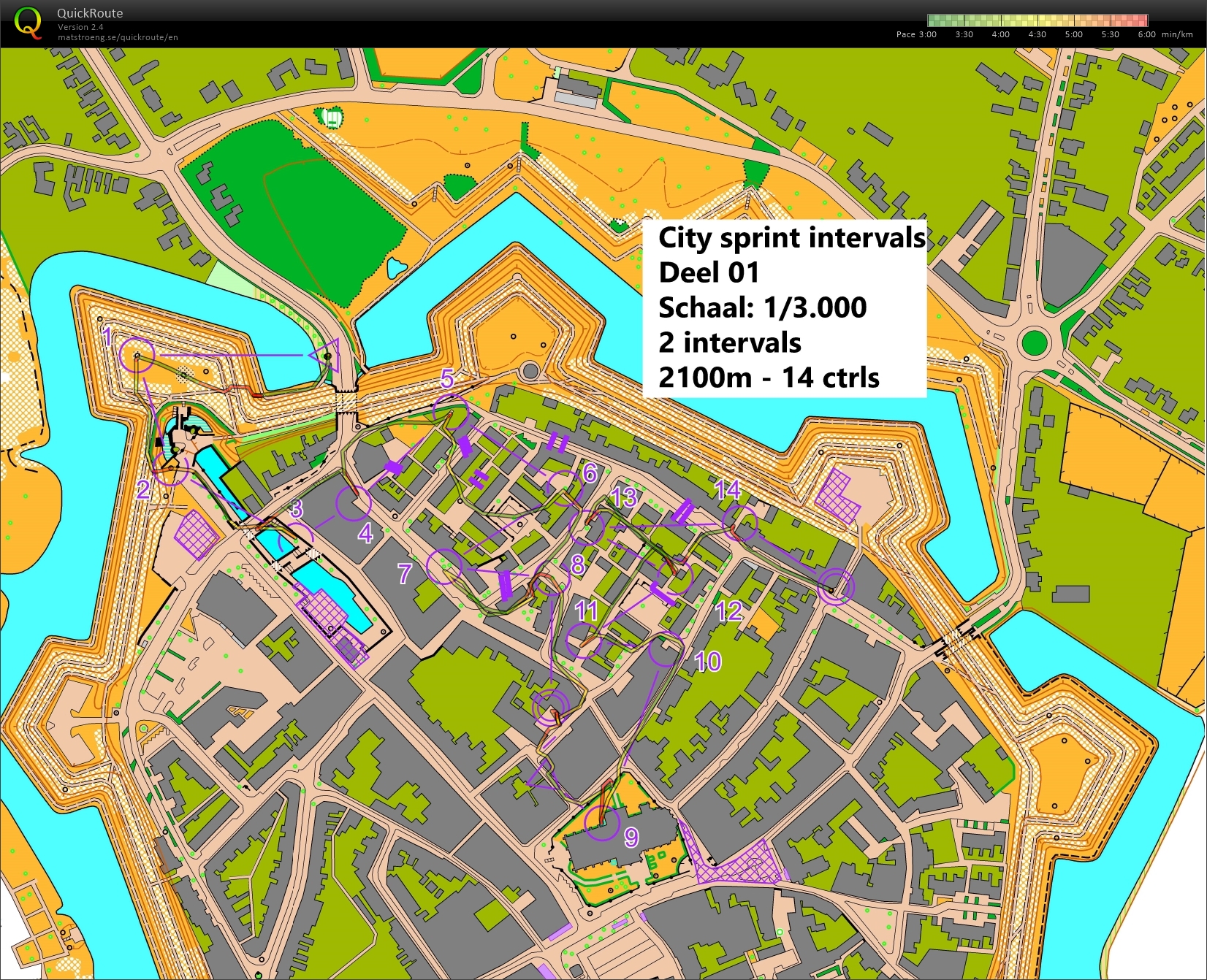 Sprinttraining (20/06/2024)